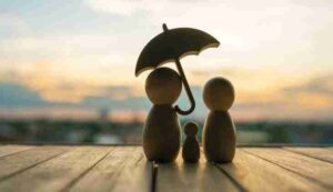 Reviewing Your Insurance Portfolio